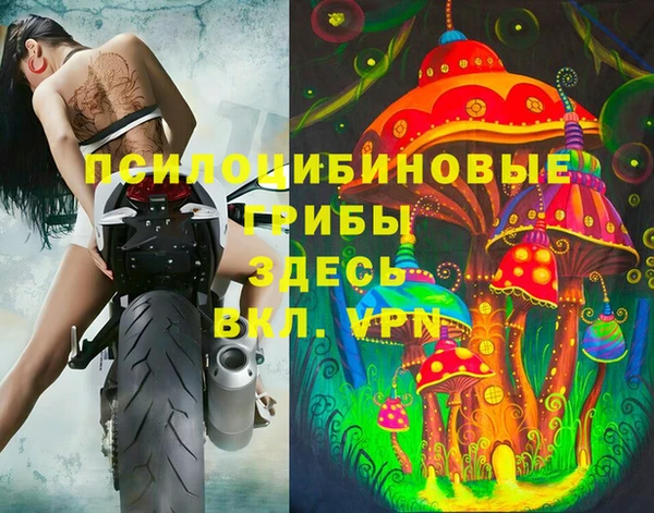 винт Рославль