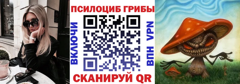 где купить   блэк спрут ТОР  Галлюциногенные грибы прущие грибы  Саров 