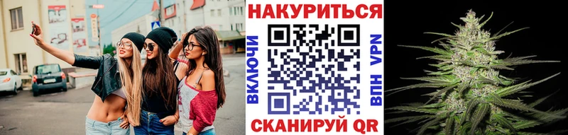 Конопля гибрид Саров